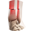 Trauma and Accident Surgery-img